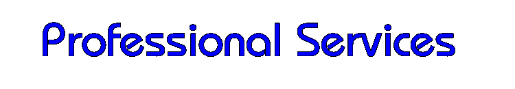 Professional Services